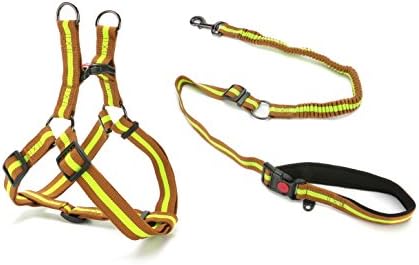 DoggieKit Pull-Proof Dog Leash &amp; No-Choke Harness Combination Set, Thick Nylon Ribbon Walking Safety Combo for Small, Medium &amp; Large Dogs (S, Green on Brown)