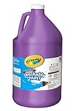 Washable Paint Gallon Violet