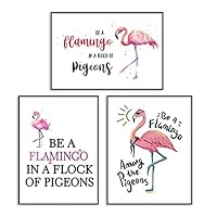 Eccoo House 3PCS Unframed Tropical Inspirational Flamingo Printings Canvas Be A Flamingo in A Flock of Pigeons Home Art Wall Wall Décor