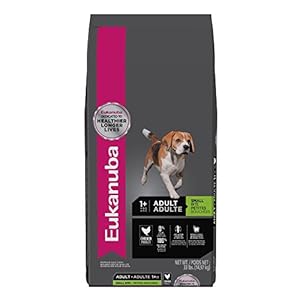 Eukanuba Small Bite Adult Dog Food, 33 lbs. Eukanuba Small Bite Adult Dog Food, 33 lbs.