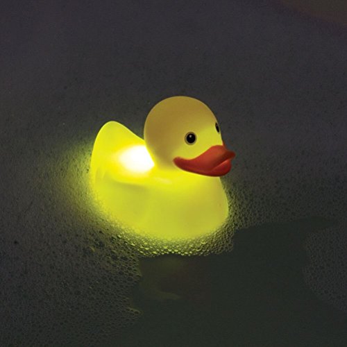 swimming duck toy