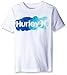 Hurley Boys' O and O Tint Tee