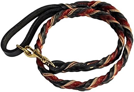 Dog Leash Premium All Braided Leather Lead for Training Walking Large, Medium Dogs. Individually Hand Crafted. (Braided, 4 Feet)