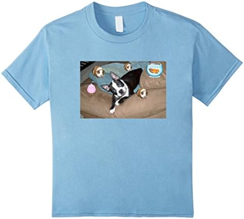 Kids Boston Terrier &amp; friends t shirt 8 Baby Blue
