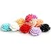 Patty Both 55Pcs DIY Mixed Lots Resin Rose Flowers Cabochons Cameo Flat Back 18x9mm (Random)