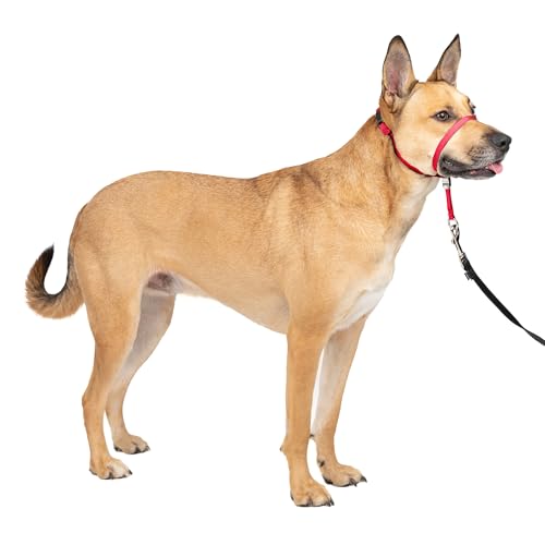 PetSafe Gentle Leader No-Pull Dog Headcollar - The Ultimate Solution to Pulling - Redirects Your Dogs Pulling for Easier Walks - Helps You Regain Control - Medium, Red