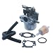 KIPA Carburetor Fuel Line Fuel Filter Gasket Kit for Briggs & Stratton 796608 111000 11P000 121000 12Q000 Engines 2700Psi 3000Psi Troy-Bilt Pressure Washer 7.75Hp 8.75Hp 594287 799248