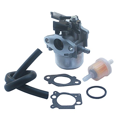 KIPA Carburetor Fuel Line Fuel Filter Gasket Kit for Briggs & Stratton 796608 111000 11P000 121000 12Q000 Engines 2700Psi 3000Psi Troy-Bilt Pressure Washer 7.75Hp 8.75Hp 594287 799248