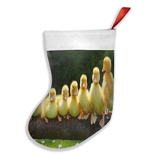Lovexue Christmas Stockings Cute Yellow Ducks Inspiring Socks