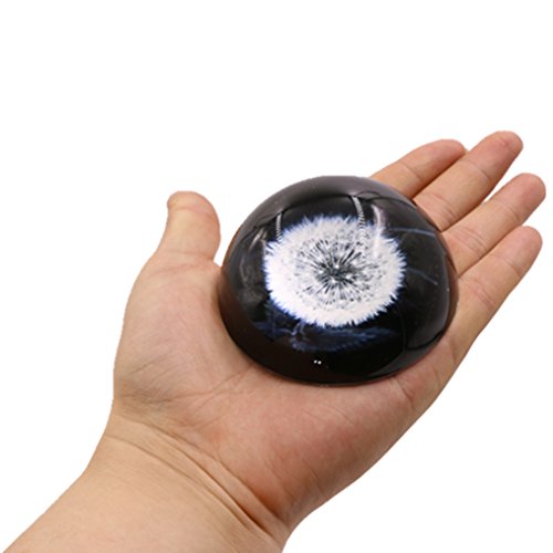 image for Ymeibe Dandelion Paperweights Crystal Nature Under Glass Globe Hemisph