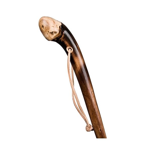 Stock-Fachmann® Rustikaler Wanderstock aus Kastanienholz geflammt mit Lederschlaufe Gehstock Gehhilfe