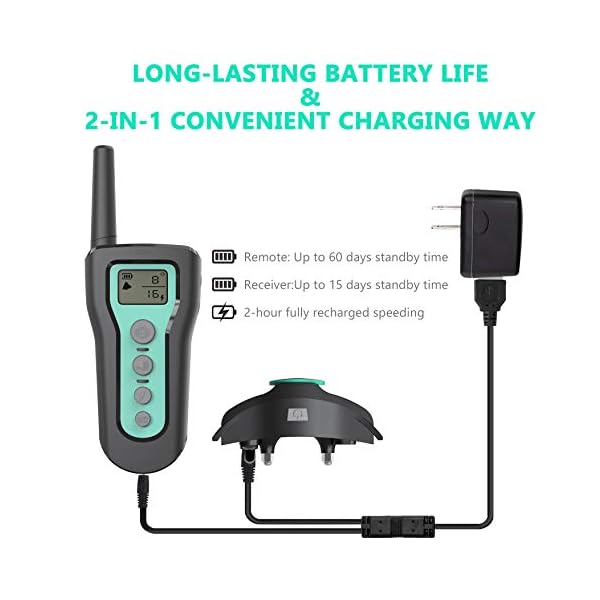 besthing dog training collar manual