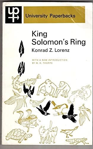 King Solomon