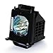 Boryli 915B403001 Replacement Lamp for Mitsubishi WD-60735 WD-60737 WD-73737 WD-60C9 WD-65C9 WD-73735 WD-65735 WD-65737 WD-65837 WD-73C9 WD-73736 915B403001 TV Replacement Lamp Bulb with Housing