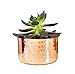 Alchemade 100% Pure Hammered Copper Planter (3
