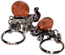 Amazon.com: Lucky Penny Lottery Ticket Scratch-off Tool & Key Ring: Everything Else