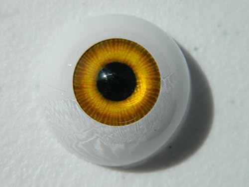 24mm Pair of Realistic Life Size Acrylic Half Round Hollow Back Eyes for Halloween Props, Masks, Dolls or Bears FW01