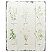 Barnyard Designs Kitchen Herbs and Spices Wooden Plaque Botanical Print Sign Rustic Country Farmhouse Wall Art Decor 15.75” x 11.75”