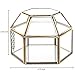 4.75 inch Faceted Hexagonal Clear Glass & Brass Metal Hinged Top Lid Plant Terrarium Box/Tabletop Display Case