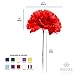 Royal Imports Artificial Carnations, Silk Faux Flowers, for Funeral Arrangements, Wedding Bouquets, Cemetery Wreaths, DIY Crafts - 100 Single 5