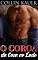 Livro O Coroa da Casa ao Lado: Conto Erótico Gay (Meu Segredo Gay)