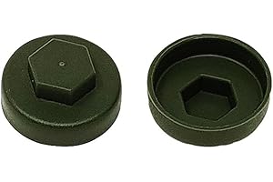 Forgefix FORTFCC19OG TechFast Roofing Screws - Cover Caps - Box Fixings