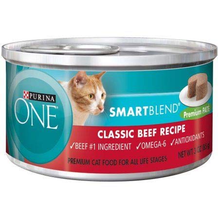 purina one canned cat food