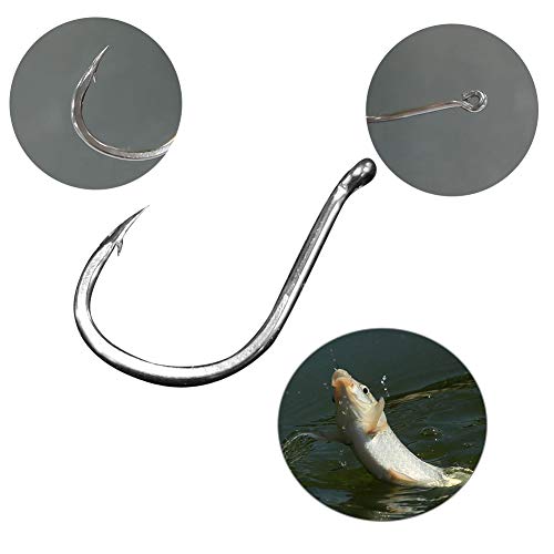 BiaoGan 500PCS Small Fishing Hooks, Assorted 10 Sizes(312) Fish