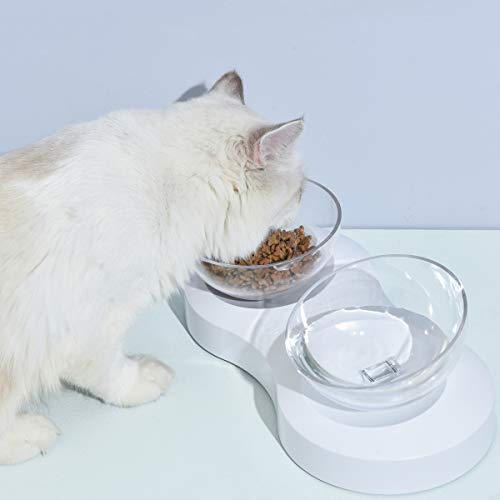 ELSPET Raised Cat Dog Bowl/Cat Dish/Elevated Cat Food Water Bowl, 0°/20° Tilted Transparent Raised Pet Feeding Bowl with Anti-Slip Base for Cat and Small Dog (Cat Single Bowl/Cat Double Bowls)