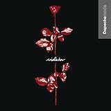 VIOLATOR (HOL)                                     image