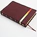 NIV Rainbow Study Bible, Maroon LeatherTouch