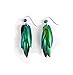 Real natural beetle bug insect iridescent blue green wings earrings with green pendant
