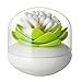 ESTD 1Pc Lotus Toothpick Cotton Bud Swab Holder Storage Box Home Decor (Green)