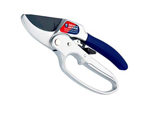 Spear & Jackson 6358RS Razor-Sharp Ratchet Secateurs with Loop Handle