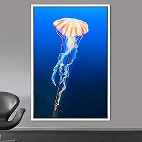signwin Framed Canvas Wall Art Jellyfish Bedroom Colorful...