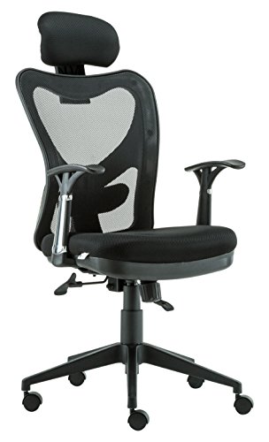 Anji Modern Furniture Ergonomic High Back Swivel Mesh Office Desk Computer Chair with Lumbar Support and Headrest  Black