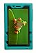 Bobj Rugged Case for Lenovo Tab 3 Essential TB3-710F TB3-710I (NOT for Tab 7 Essential TB-7304F or Any Other Lenovo Model) - BobjGear - Venting - Sound Amplification - Kid Friendly (Turquoise)