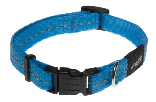 Reflective Dog Collar for Small Dogs, Adjustable from 8-13 inches, Turquoise