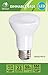 Bioluz LED Light Bulb BR20 Light Bulbs 2700K Bright Warm White LED Bulbs 6W=50W Replacement 90 CRI 540 Lumen Indoor/Outdoor UL Listed CEC Title 20 Compliant Home Decor LED Lights for Bedroom - 20 Pack