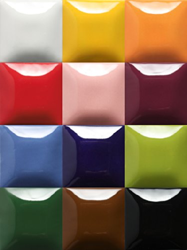 Creative Hobbies Mayco Stroke and Coat Glaze for Ceramics Kit 3 | 12 Assorted 2 oz Jars with How to Paint Pottery Book