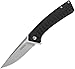 Kershaw Entropy Assisted Opening Flipper Knife (3.25
