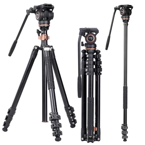 Cayer AF2451 Video Tripod, Aluminum Alloy Video Camera Tripod 74 Inch for Canon Nikon Sony Olympus Panasonic Digital SLR Camera