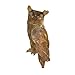 Ancient Graffiti Flamed Copper Hanging Owl