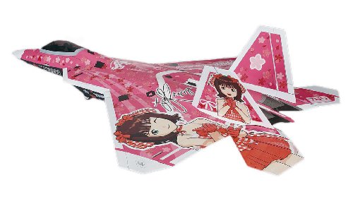 F-22A Raptor `The Idolmaster Amami Haruka