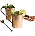 [Gift Set] Moscow Mule Copper Mugs 100% Pure Copper (No Nickel Interior) Moscow Mule Gift Set Includes Two 16 Oz. Pure Copper Hammered Mugs – Double Sided Copper Shot Pourer – Copper Stir Spoon