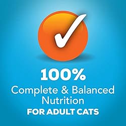 Purina Friskies Gravy Pate Wet Cat Food, Extra
