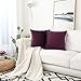 Home Brilliant Dark Purple Velvet Square Pillowcase Decorative Throw Pillow Cover for Bed Couch Sofa Car Dorm, 18x18 inch (45x45 cm), Eggplant