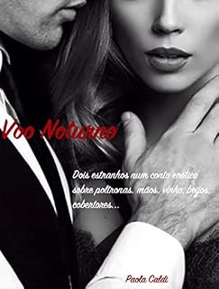 Livro Voo Noturno: Dois estranhos num conto erótico sobre poltronas, mãos, vinho, beijos, cobertores...