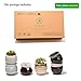 Potaroma Succulent Pots, 6 Pack Premium Ceramic Plant Pots with Drainage, FlowingGlaze Pots for Plants. Succulent-Pots-Planter-Flower-Plants