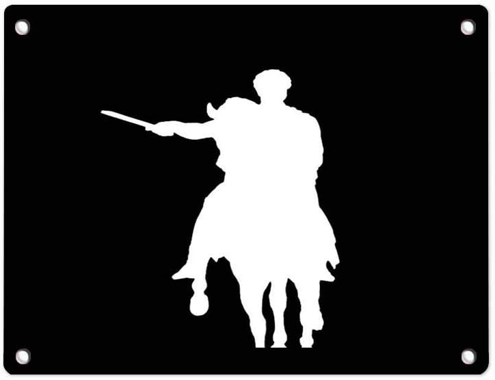 HOOSUNFlagrbfa Tin Sign Metal Vintage Wall Decor Art Plaque Souvenir Home Bar Cafe Bar 12 X 8 Inches (Dash Fighting Rider Soldier Warrior)